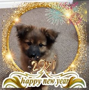 Meet your Posher, Kay